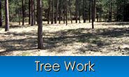 Tree work and tree removal in Monument, Castle Rock, Front Range, Colorado Springs