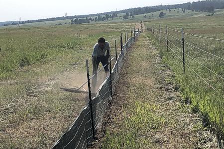 Installing wired back silt fence in Black Forest, Colorado 