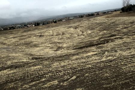 Erosion Control in Monument, Colorado. This is seed and straw crimp in a pond in Monument to get grass to grow and stabilize the soil.