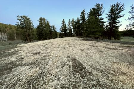 Erosion Control Lake George, Colorado. Installed Seed and straw crimp at a ranch in Lake George to reclaim the areas that were disturbed in making of the new road. This area will be a new RV pad