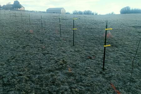 Fencing in Larkspur, Colorado so that cows stay in the pasture. The hot wire is installed around the pasture.