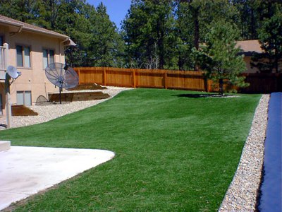 Artificial Turf Lawn, Synthetic Grass services in Monument, Castle Rock, Colorado Springs