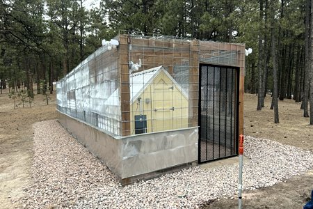 Chicken coop in Black Forest, Colorado designed to keep everything away, offer protection to the chickens when they can not be manually let out everyday