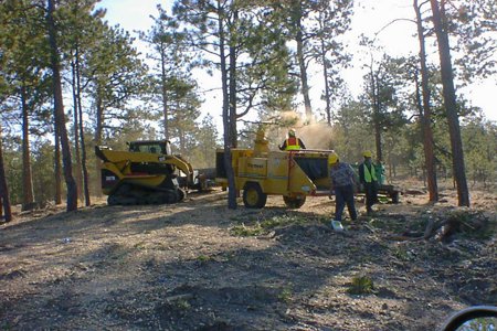 Tree Care & Tree Removal in Monument, Castle Rock, Colorado Springs