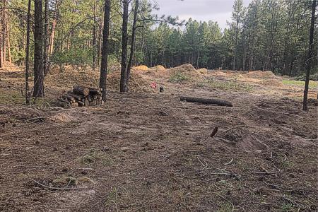 Removed trees for a new house and a new driveway in Larkspur, Colorado