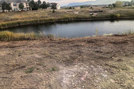 Cleaning up around a private pond in Colorado Springs. Removing the trees and trash for a nicer view 