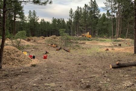 Tree and stump removal for a house in Larkspur, Colorado